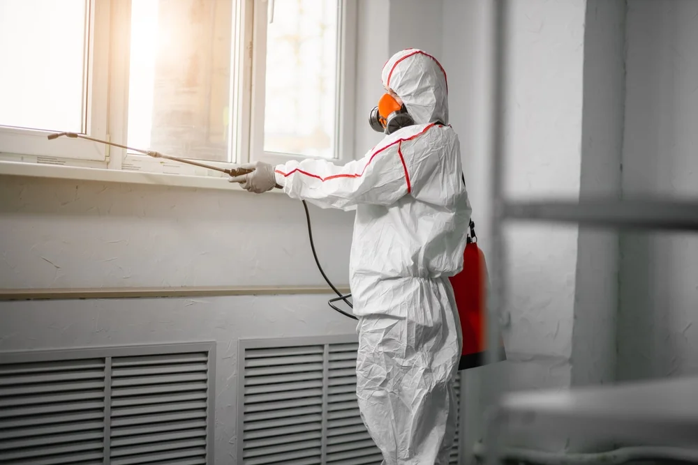 Professional mold remediation services in Wantagh, NY